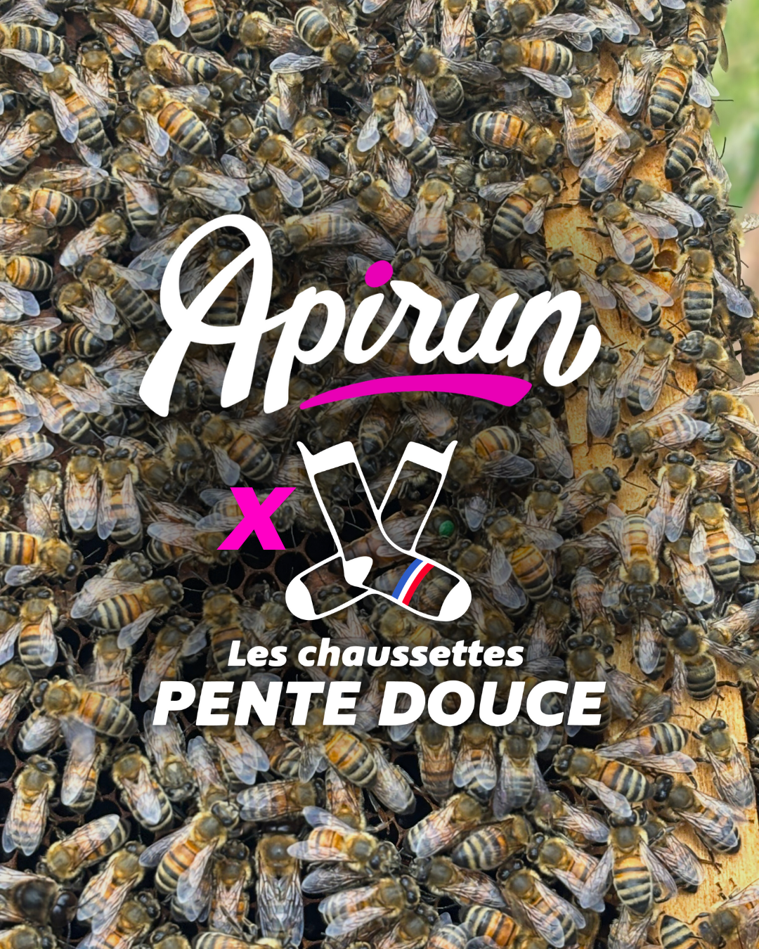 Chaussettes de Running - Apirun